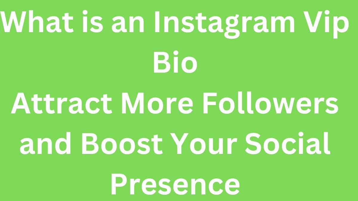 What is an Instagram Vip Bio: Attract More Followers and Boost Your Social Presence